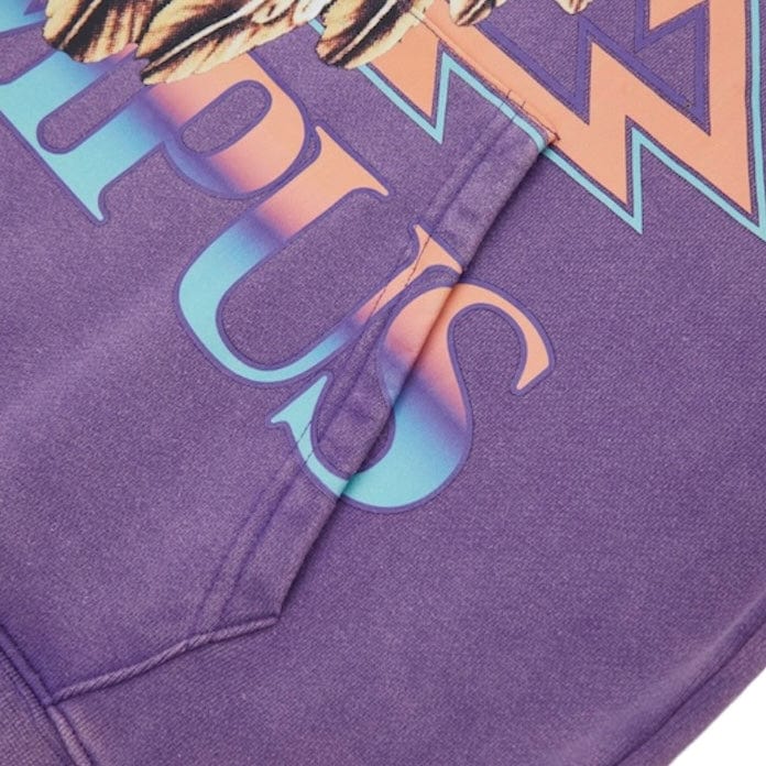 Campus Goods World Tour Hoodie (Vintage Purple) CG-S25-23 - Image 3