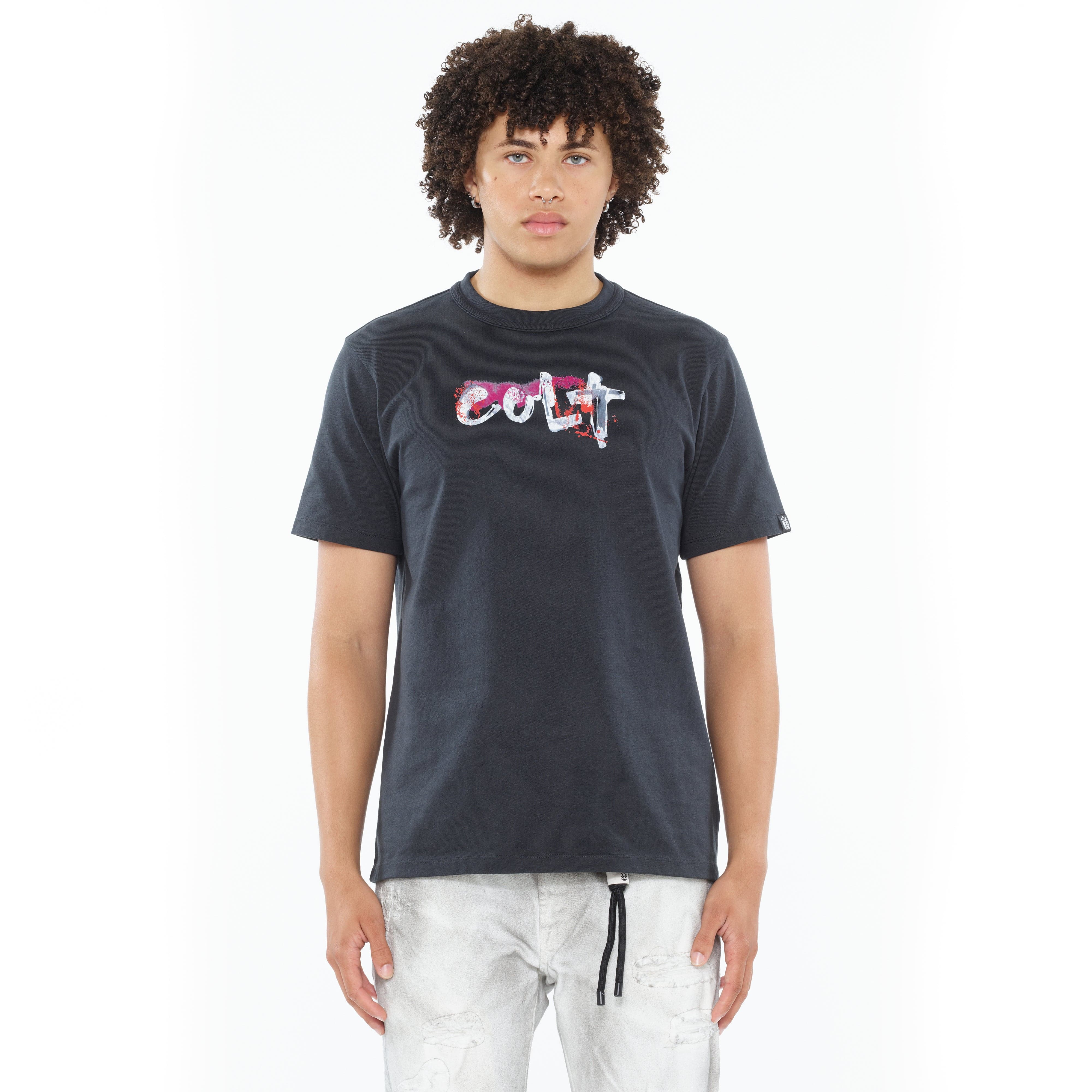 Cult's Heavyweight Short Sleeve Crew Neck Tee "Artist Logo" in Steel - Image 2
