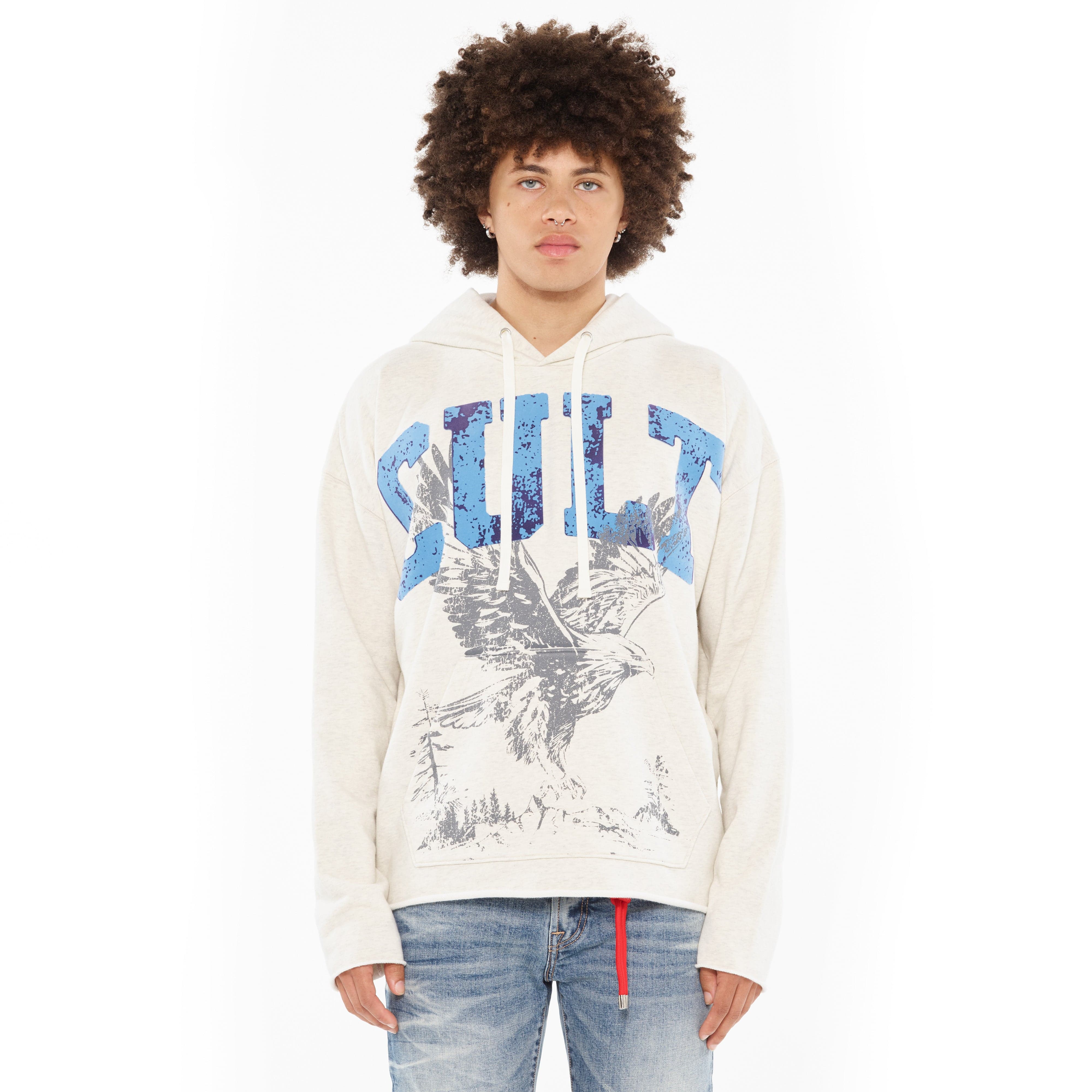 Cult's Pullover Novelty Sweatshirt in Cream Heather - Image 2
