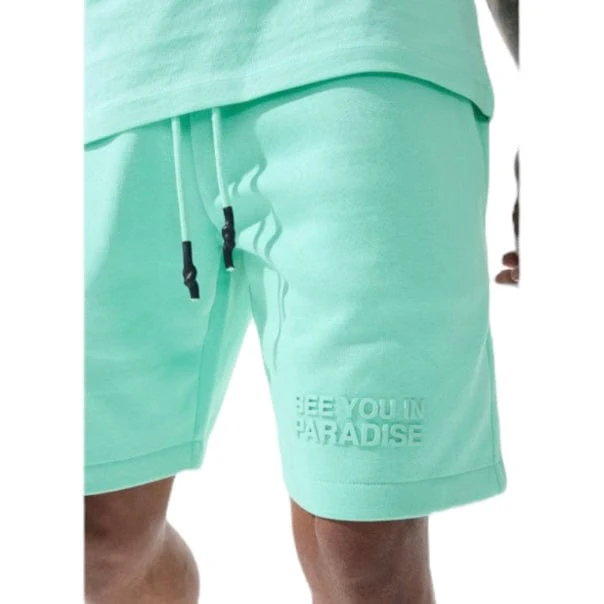 Jordan Craig Retro Paradise Tonal Shorts (Aqua) 9151S - Image 4