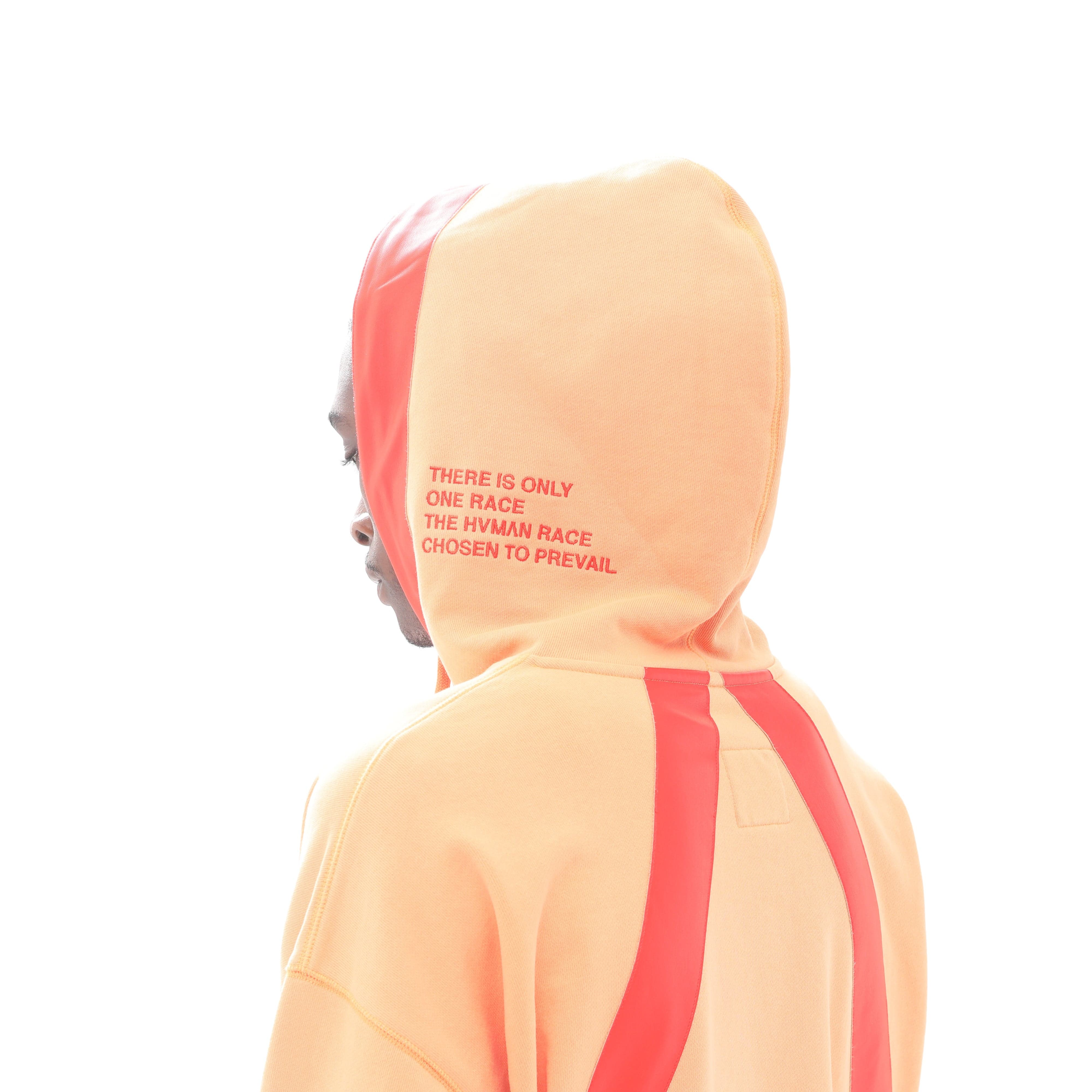 PULLOVER SWEATSHIRT IN APRICOT - Image 5
